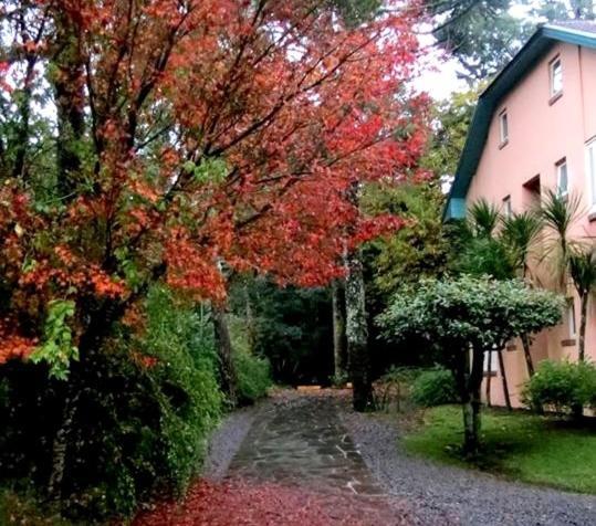 Apartamento Familia Sirangelo Gramado Ngoại thất bức ảnh